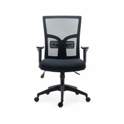 Staples Dedham Mesh Back Fabric Computer And Desk Chair, Black (51483)