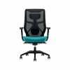 Beautyrest Duo-EX Ergonomic Mesh Swivel Computer Chair, Teal (60051-TEL) -Office Chairs Shop unnamed file 149