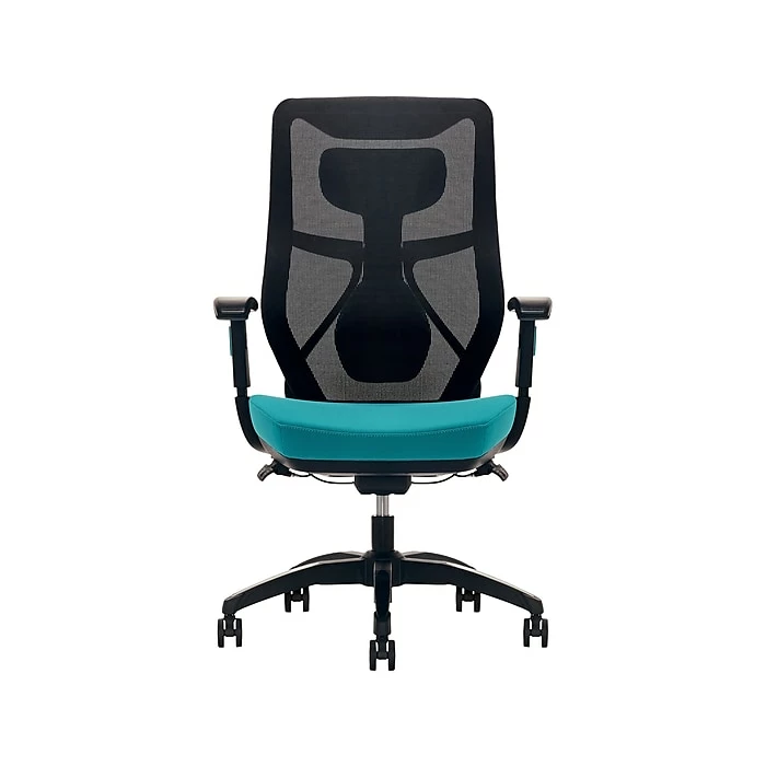 Beautyrest Duo-EX Ergonomic Mesh Swivel Computer Chair, Teal (60051-TEL) 3 Beautyrest Duo-EX Ergonomic Mesh Swivel Computer Chair, Teal (60051-TEL)