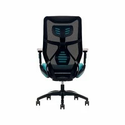 Beautyrest Duo-EX Ergonomic Mesh Swivel Computer Chair, Teal (60051-TEL) 14 Beautyrest Duo-EX Ergonomic Mesh Swivel Computer Chair, Teal (60051-TEL) -Office Chairs Shop unnamed file 151