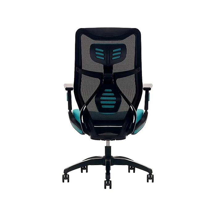 Beautyrest Duo-EX Ergonomic Mesh Swivel Computer Chair, Teal (60051-TEL) 5 Beautyrest Duo-EX Ergonomic Mesh Swivel Computer Chair, Teal (60051-TEL) - Image 3