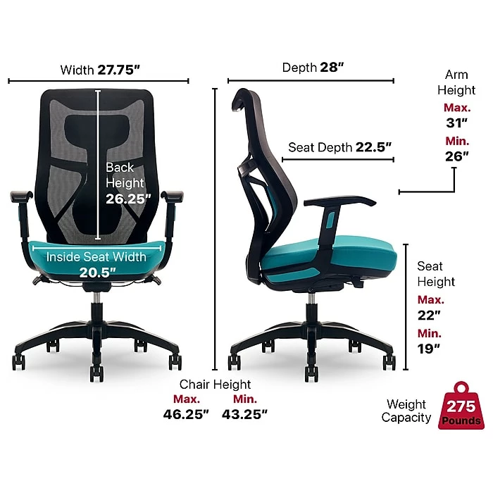 Beautyrest Duo-EX Ergonomic Mesh Swivel Computer Chair, Teal (60051-TEL) 9 Beautyrest Duo-EX Ergonomic Mesh Swivel Computer Chair, Teal (60051-TEL) - Image 7