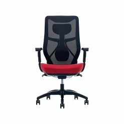 Beautyrest Duo-EX Ergonomic Mesh Swivel Computer Chair, Teal (60051-TEL) 20 Beautyrest Duo-EX Ergonomic Mesh Swivel Computer Chair, Teal (60051-TEL) -Office Chairs Shop unnamed file 157