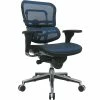 Raynor Eurotech Ergo Human Mesh Mid Back Task Chair, Blue -Office Chairs Shop unnamed file 2267