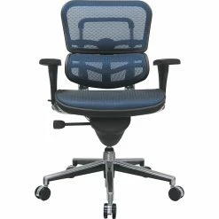 Raynor Eurotech Ergo Human Mesh Mid Back Task Chair, Blue -Office Chairs Shop unnamed file 2269