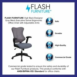 Flash Furniture Mesh/Fire-retardant Foam Executive Chair, Black/Designer Gray (BL-ZP-806-GY-GG) -Office Chairs Shop unnamed file 2468