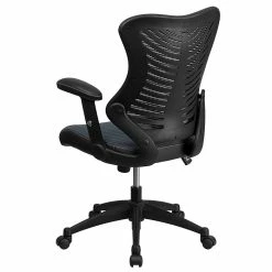 Flash Furniture Mesh/Fire-retardant Foam Executive Chair, Black/Designer Gray (BL-ZP-806-GY-GG) -Office Chairs Shop unnamed file 2471