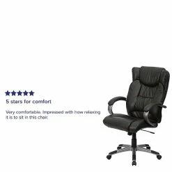 Flash Furniture High Back Leather Executive Office Chairs With Titanium Finish Loop Arms (BT9088BRN) -Office Chairs Shop unnamed file 2504