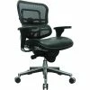 Raynor Eurotech Mesh/Leather Mid Back Ergo Human Chair, Black