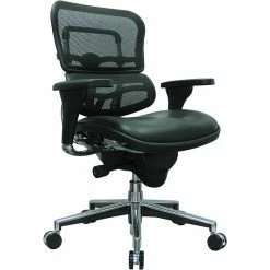 Raynor Eurotech Mesh/Leather Mid Back Ergo Human Chair, Black