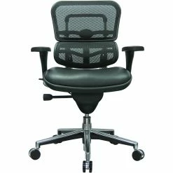 Raynor Eurotech Mesh/Leather Mid Back Ergo Human Chair, Black -Office Chairs Shop unnamed file 2745