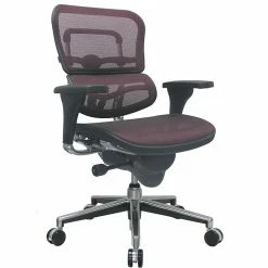 Raynor Eurotech Ergo Human Mesh Mid Back Task Chair, Plum Red