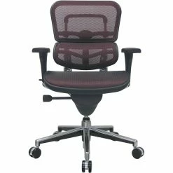 Raynor Eurotech Ergo Human Mesh Mid Back Task Chair, Plum Red -Office Chairs Shop unnamed file 3011