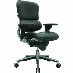 Raynor Eurotech Leather Mid Back Ergo Human Chair, Black