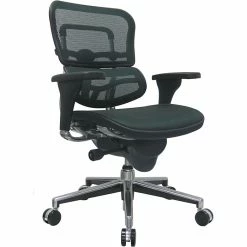 Raynor Eurotech Ergo Human Mesh Mid Back Task Chair, Green