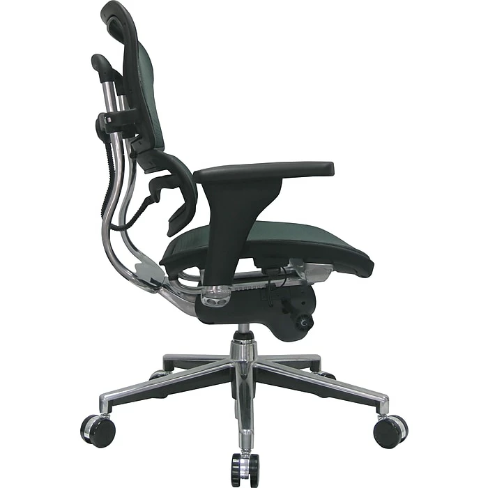 Raynor Eurotech Ergo Human Mesh Mid Back Task Chair, Green 4 Raynor Eurotech Ergo Human Mesh Mid Back Task Chair, Green - Image 2