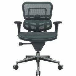 Raynor Eurotech Ergo Human Mesh Mid Back Task Chair, Green 9 Raynor Eurotech Ergo Human Mesh Mid Back Task Chair, Green -Office Chairs Shop unnamed file 3185