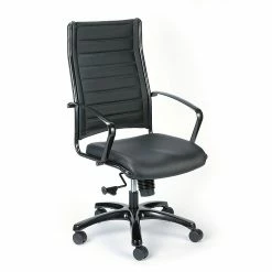 Eurotech High Back Titanium Frame Leather Executive Chair: Black