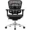 Raynor Marketing Raynor Eurotech Ergohuman Mid Back Executive Chair, Patterned Mesh, Black -Office Chairs Shop unnamed file 3783