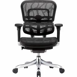 Raynor Marketing Raynor Eurotech Ergohuman Mid Back Executive Chair, Patterned Mesh, Black