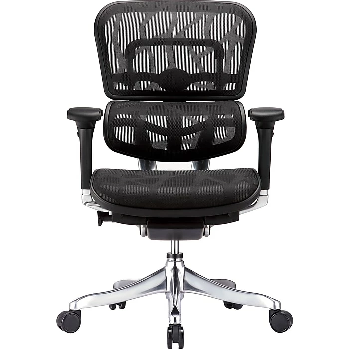 Raynor Marketing Raynor Eurotech Ergohuman Mid Back Executive Chair, Patterned Mesh, Black 3 Raynor Marketing Raynor Eurotech Ergohuman Mid Back Executive Chair, Patterned Mesh, Black