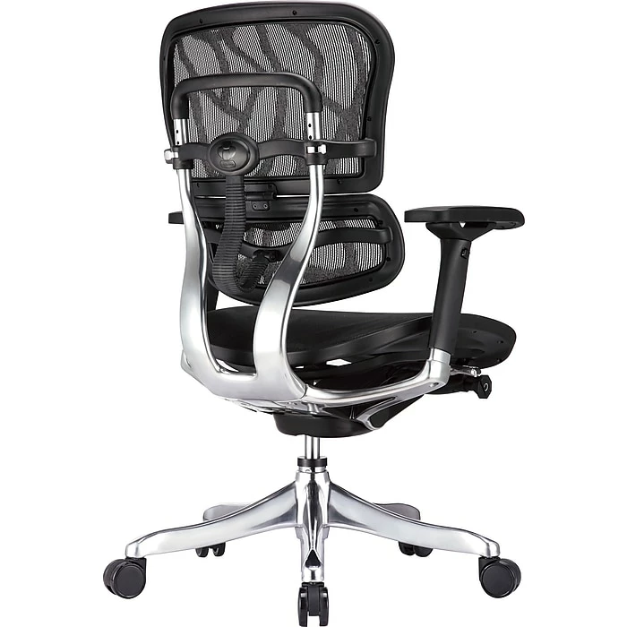 Raynor Marketing Raynor Eurotech Ergohuman Mid Back Executive Chair, Patterned Mesh, Black 5 Raynor Marketing Raynor Eurotech Ergohuman Mid Back Executive Chair, Patterned Mesh, Black - Image 3