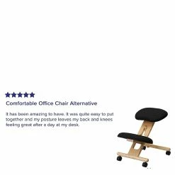 Flash Furniture Ergonomic Fabric Kneeling Chair, Armless, Black (WL-SB-210-GG) -Office Chairs Shop unnamed file 3875
