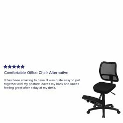 Flash Furniture Ergonomic Mesh Kneeling Task Chair, Armless, Black -Office Chairs Shop unnamed file 3898