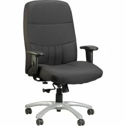 Raynor Eurotech Excelsior Fabric Big And Tall Manager's Chair, Black (BM90000-BLK)