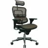 Raynor Eurotech Ergo Human High Back Managers Chair, With Headrest And Mesh, Orange -Office Chairs Shop unnamed file 4010