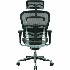 Raynor Eurotech Ergo Human High Back Managers Chair, With Headrest And Mesh, Orange -Office Chairs Shop unnamed file 4012