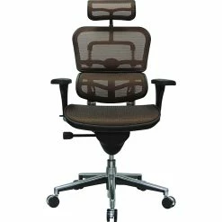 Raynor Eurotech Ergo Human High Back Managers Chair, With Headrest And Mesh, Orange -Office Chairs Shop unnamed file 4013