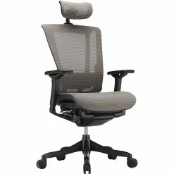 Raynor Marketing Raynor Nefil Elite Smart Motion Mesh Managers Chair With Headrest, 3D Gray
