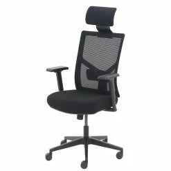 La-Z-Boy Mesh Back Molded Foam Task Chair, Black (60021) -Office Chairs Shop unnamed file 4250
