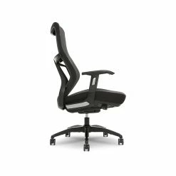 Beautyrest Duo-EX Ergonomic Mesh Swivel Task Chair, Black/Gray (60051GRY) -Office Chairs Shop unnamed file 4348