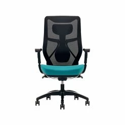Beautyrest Duo-EX Ergonomic Mesh Swivel Task Chair, Black/Gray (60051GRY) -Office Chairs Shop unnamed file 4354