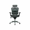Eurotech High Back Mesh Task Chair, Black (ME7ERG(N))