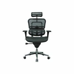 Eurotech High Back Mesh Task Chair, Black (ME7ERG(N))
