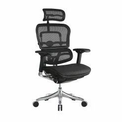 Raynor Marketing Ergo Elite Mesh Task Chair, Black (ME22ERGLT-BLK)