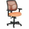 Raynor Eurotech Apollo Mesh Back Task Chair, Orange 1 Raynor Eurotech Apollo Mesh Back Task Chair, Orange -Office Chairs Shop unnamed file 5598