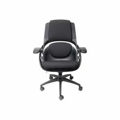 ALL33 BackStrong C1 Ergonomic Fabric Swivel Task Chair, Black (BS-BBF-50509)