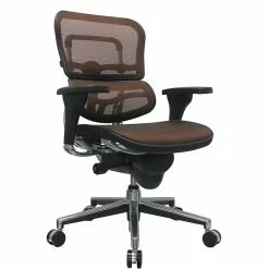 Raynor Eurotech Ergo Human Mesh Mid Back Task Chair, Orange