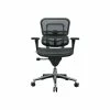 Raynor Low Back Mesh Task Chair, Black (ME8ERGLO(N)) -Office Chairs Shop unnamed file 6084