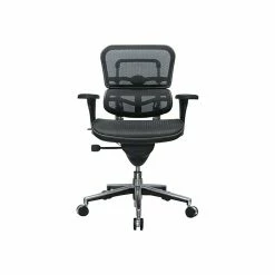 Raynor Low Back Mesh Task Chair, Black (ME8ERGLO(N))